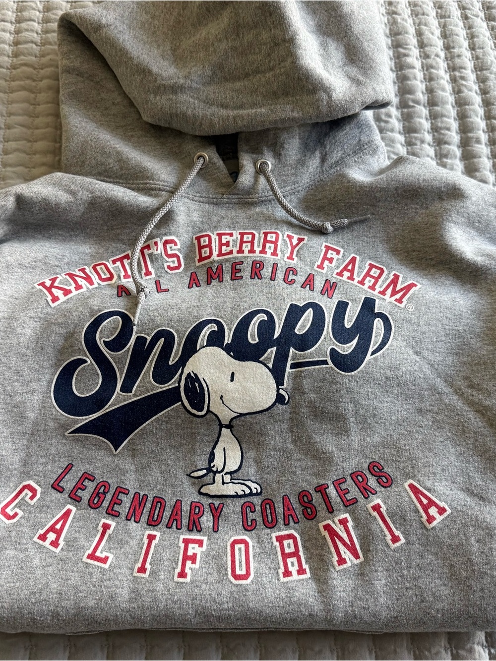 Snoopy Graphic Hoodie with Knott's Berry Farm Print - Gray